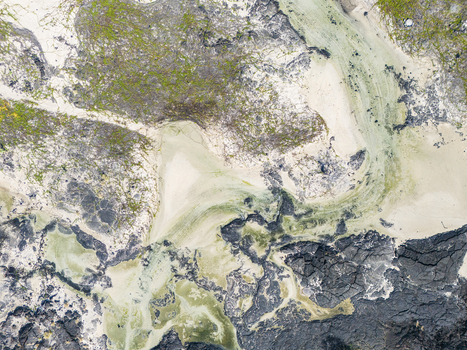 Aerial view of the abstract patterns of Kalaemamo coastline with dark volcanic rocks white sand and green algae in Hawaii County Hawaii United States. Aerial view of the abstract patterns of Kalaemamo coastline with dark volcanic rocks white sand and green algae in Hawaii County Hawaii United States.