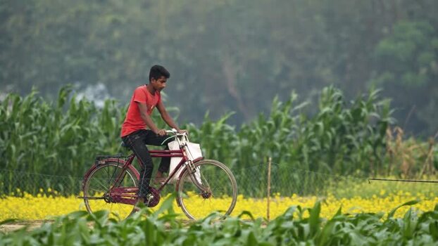 View of a young man riding a bicycle through rural fields Bangladesh. View of a young man riding a bicycle through rural fields Bangladesh.
