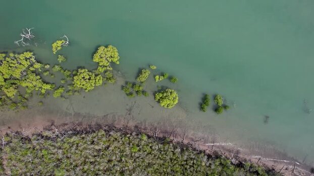 Aerial view of mangroves at River Heads Australia. Aerial view of mangroves at River Heads Australia.