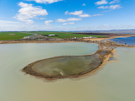 Aerial view of Lake Atanasovsko with its shallow waters and surrounding green fields under a blue sky with white clouds in Burgas Burgas Bulgaria. Aerial view of Lake Atanasovsko with its shallow waters and surrounding green fields under a blue sky with white clouds in Burgas Burgas Bulgaria.