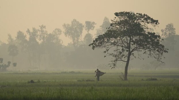 View of a farmer walking through a misty field in Bogura Bangladesh.