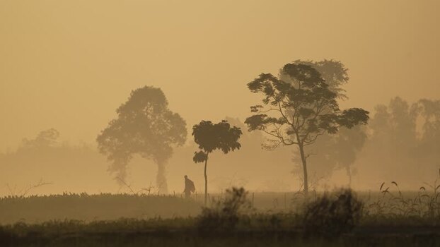 View of a person walking through a misty field Bangladesh. View of a person walking through a misty field Bangladesh.