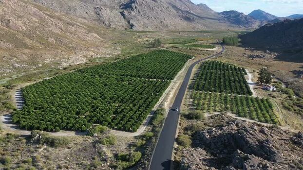 Aerial view of a road through orchards South Africa.