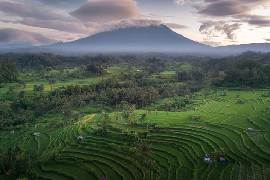 Aerial view of lush green rice terraces and tropical forests with Mount Agung under a cloudy sky at dawn Sidemen Bali Indonesia. Aerial view of lush green rice terraces and tropical forests with Mount Agung under a cloudy sky at dawn Sidemen Bali Indonesia.