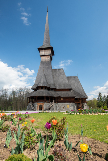 View of a traditional wooden church with a tall spire and stone foundation surrounded by a vibrant garden of colorful tulips under a clear blue sky in Maramures Romania. View of a traditional wooden church with a tall spire and stone foundation surrounded by a vibrant garden of colorful tulips under a clear blue sky in Maramures Romania.