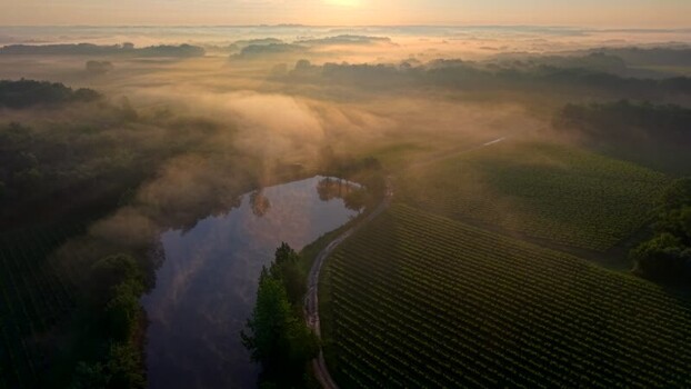 Aerial view of misty vineyards and a calm lake at sunrise France. Aerial view of misty vineyards and a calm lake at sunrise France.