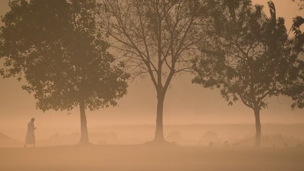View of a person walking through misty trees at sunrise Bangladesh. View of a person walking through misty trees at sunrise Bangladesh.