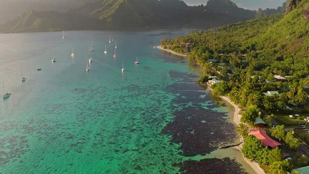 Aerial view of sailboats anchored in the turquoise lagoon with lush green mountains and coastal vegetation in Moorea Maiao Windward Islands French Polynesia. Aerial view of sailboats anchored in the turquoise lagoon with lush green mountains and coastal vegetation in Moorea Maiao Windward Islands French Polynesia.