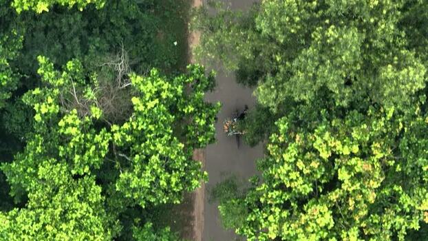 Aerial view of a bicycle on a forest road Bangladesh. Aerial view of a bicycle on a forest road Bangladesh.