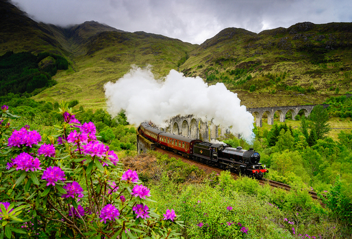 View of the Jacobite steam train crossing the historic Glenfinnan Viaduct surrounded by vibrant purple rhododendrons and lush green hills in Glenfinnan Scotland. View of the Jacobite steam train crossing the historic Glenfinnan Viaduct surrounded by vibrant purple rhododendrons and lush green hills in Glenfinnan Scotland.