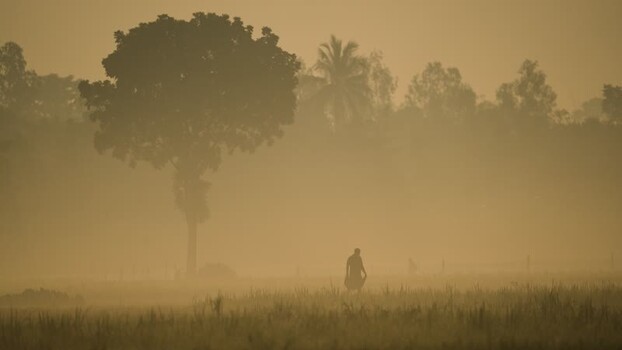 View of a person walking through a misty field at sunrise Bangladesh.