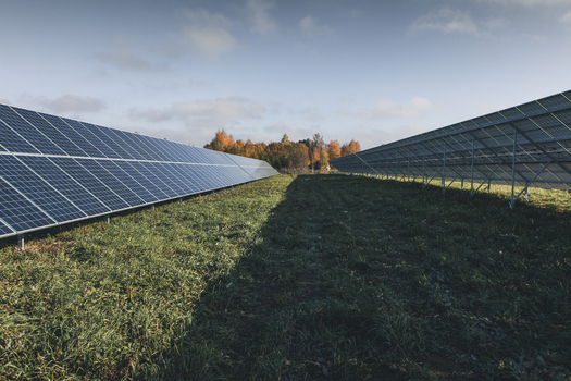 View of solar panels installed in a grassy field with autumn trees in the background under a clear blue sky in Tartu County Estonia. View of solar panels installed in a grassy field with autumn trees in the background under a clear blue sky in Tartu County Estonia.