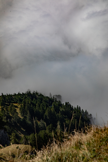 Aerial view of the Swiss Alps with a dense pine forest on a mountain slope partially shrouded in thick low hanging clouds and mist in Airolo Ticino Switzerland. Aerial view of the Swiss Alps with a dense pine forest on a mountain slope partially shrouded in thick low hanging clouds and mist in Airolo Ticino Switzerland.