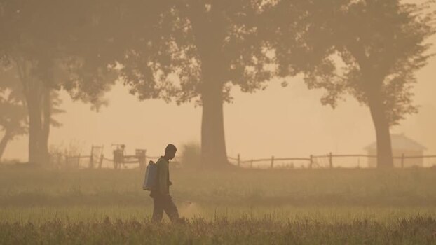 View of a farmer working in a misty field at dawn Bangladesh.
