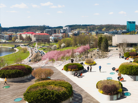 Aerial view of Chiune Sugihara Sakura Park with blooming cherry trees people walking on the terrace and the urban skyline of Vilnius Vilniaus apskritis Lithuania. Aerial view of Chiune Sugihara Sakura Park with blooming cherry trees people walking on the terrace and the urban skyline of Vilnius Vilniaus apskritis Lithuania.