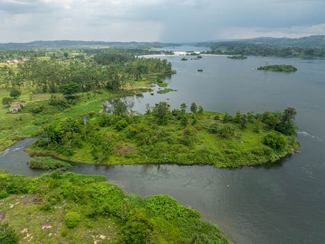Aerial view of a lush green island nestled in the River Nile surrounded by dense vegetation and calm waters under a cloudy sky in Jinja Eastern Region Uganda.