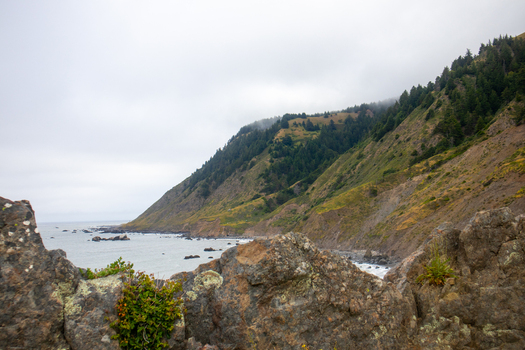 View of the Lost Coast featuring steep forested hills and a rocky shoreline under an overcast sky in Humboldt County California United States.