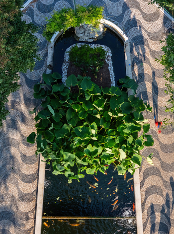 Cruz Quebrada Portugal 25 July 2026 Aerial view of Vasco da Gama Aquarium featuring a lush pond with large leaves and koi fish surrounded by traditional wave patterned mosaic pavement.