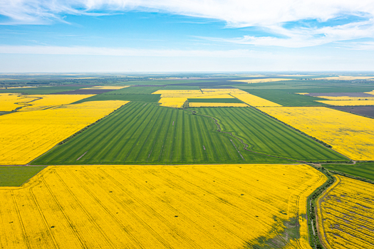 Aerial view of vibrant yellow rapeseed fields and green agricultural land under a clear blue sky in Ploiesti Prahova Romania. Aerial view of vibrant yellow rapeseed fields and green agricultural land under a clear blue sky in Ploiesti Prahova Romania.