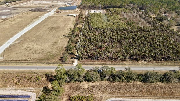 Aerial view of a stark contrast between golden fields and dark green forest divided by a straight road cutting through the landscape Elkton Florida United States. Aerial view of a stark contrast between golden fields and dark green forest divided by a straight road cutting through the landscape Elkton Florida United States.