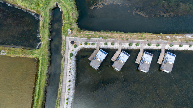 Aerial view of Salinas de Aveiro featuring modern floating cabins on calm water surrounded by traditional salt pans and green vegetation in Aveiro Portugal. Aerial view of Salinas de Aveiro featuring modern floating cabins on calm water surrounded by traditional salt pans and green vegetation in Aveiro Portugal.