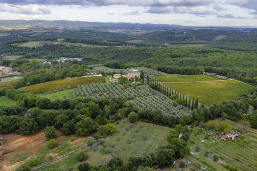 Aerial view of a historic farmhouse surrounded by olive groves vineyards and cypress trees in the rolling hills of the Tuscan countryside Monteriggioni Tuscany Italy.