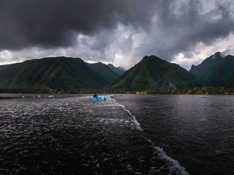 Aerial view of people carrying surfboards through shallow water towards the lush green mountains of Moorea under a dramatic sky Moorea Maiao Windward Islands French Polynesia. Aerial view of people carrying surfboards through shallow water towards the lush green mountains of Moorea under a dramatic sky Moorea Maiao Windward Islands French Polynesia.