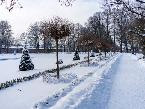 View of the snow covered park at Traku Voke manor with trimmed trees and a winter path in Vilnius Vilniaus apskritis Lithuania. View of the snow covered park at Traku Voke manor with trimmed trees and a winter path in Vilnius Vilniaus apskritis Lithuania.