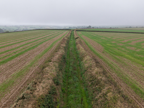 Aerial view of agricultural farmland with green fields freshly harvested rows and traditional hedgerows in the rural landscape of Looe Cornwall United Kingdom. Aerial view of agricultural farmland with green fields freshly harvested rows and traditional hedgerows in the rural landscape of Looe Cornwall United Kingdom.