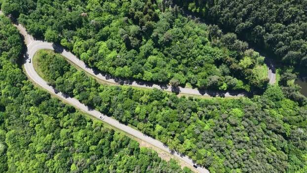 Aerial view of a winding road through a dense forest France.