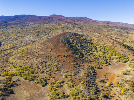 Aerial view of the volcanic landscape of Mauna Kea featuring reddish cinder cones and sparse vegetation under a clear blue sky in Hawaii County Hawaii United States.