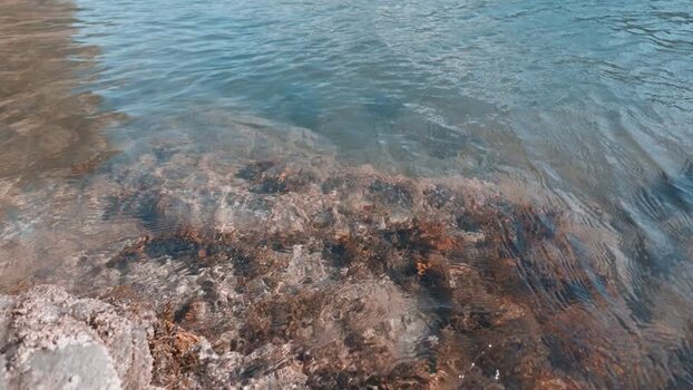 View of clear water flowing over a rocky riverbed United Kingdom. View of clear water flowing over a rocky riverbed United Kingdom.