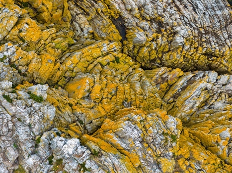 Aerial view of textured coastal rocks covered in bright yellow lichen and green moss at Silence Beach Viewpoint in Cudillero Asturias Spain.