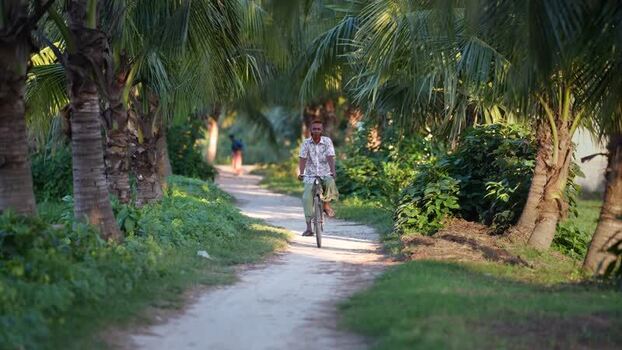 View of a man riding a bicycle through palm trees Bangladesh.
