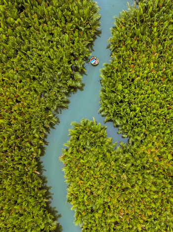 Aerial view of a small round boat navigating a narrow river winding through a dense green palm forest Vietnam. Aerial view of a small round boat navigating a narrow river winding through a dense green palm forest Vietnam.