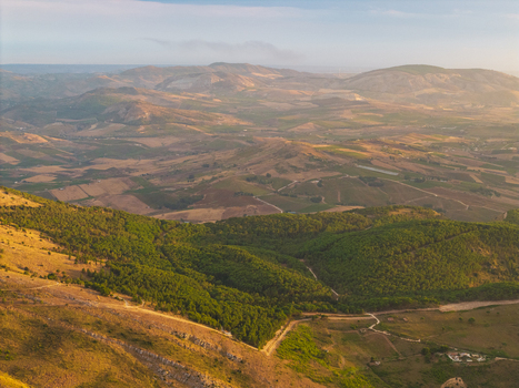 Aerial view of rolling hills and agricultural landscape in Sicily featuring green forests golden fields and winding dirt paths under soft golden hour light near Palermo Sicily Italy. Aerial view of rolling hills and agricultural landscape in Sicily featuring green forests golden fields and winding dirt paths under soft golden hour light near Palermo Sicily Italy.