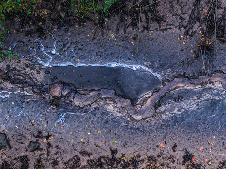 Aerial view of a muddy stream bed with dark sediment textured earth and scattered fallen leaves in Latvia.