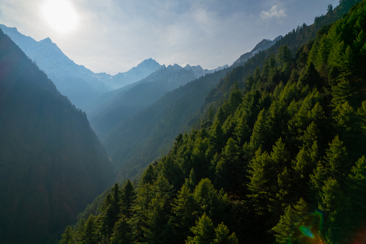 Aerial view of the Himalayan mountains featuring dense evergreen forests on the slopes snow capped peaks in the distance and bright sunlight Nepal.