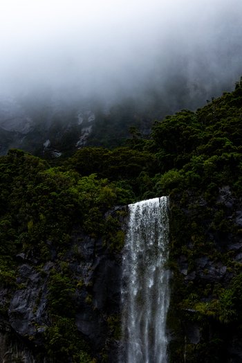 View of a cascading waterfall plunges from lush green cliffs shrouded in mist an ethereal scene of nature s raw beauty Milford Sound Southland Region New Zealand.
