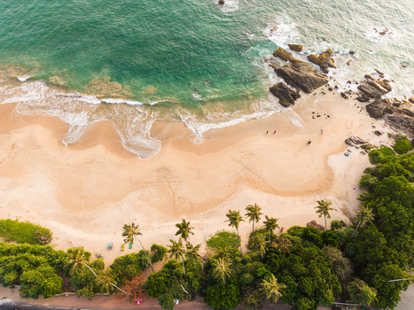 Aerial view of a tropical beach with turquoise ocean waves crashing against rocky outcrops and palm trees lining the golden sand in Galle Southern Province Sri Lanka.