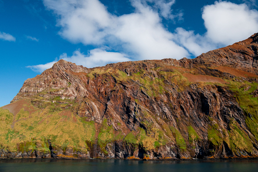 View of Hercules Bay with rugged coastal cliffs vibrant green and brown mossy slopes and deep blue water under a bright sky in South Georgia and the South Sandwich Islands. View of Hercules Bay with rugged coastal cliffs vibrant green and brown mossy slopes and deep blue water under a bright sky in South Georgia and the South Sandwich Islands.