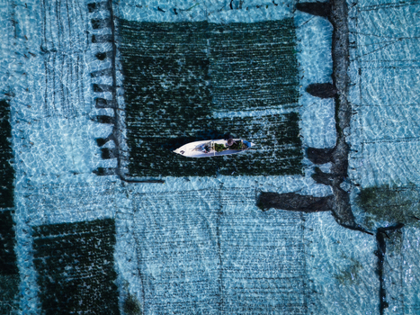 Aerial view of a boat floats on the glistening waters a dance of light and shadow over seaweed farms creating an aquatic mosaic Lembongan Bali Indonesia. Aerial view of a boat floats on the glistening waters a dance of light and shadow over seaweed farms creating an aquatic mosaic Lembongan Bali Indonesia.