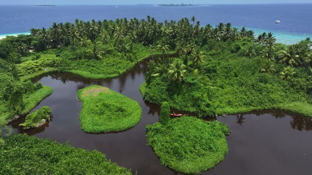 Aerial view of a tropical island with a dark lagoon and palm trees Maldives. Aerial view of a tropical island with a dark lagoon and palm trees Maldives.