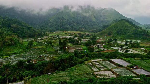 Aerial view of terraced agricultural fields in Indonesia.