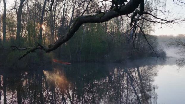 View of morning mist over the lake at Gunnebo Sweden.