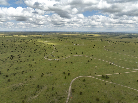 Aerial view of the vast green savanna of Swara Plains Conservancy with winding dirt tracks and scattered trees under a cloudy sky in Nairobi Machakos County Kenya. Aerial view of the vast green savanna of Swara Plains Conservancy with winding dirt tracks and scattered trees under a cloudy sky in Nairobi Machakos County Kenya.