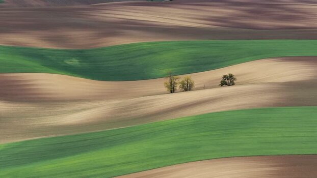 Aerial view of rolling green and brown fields with trees Czechia