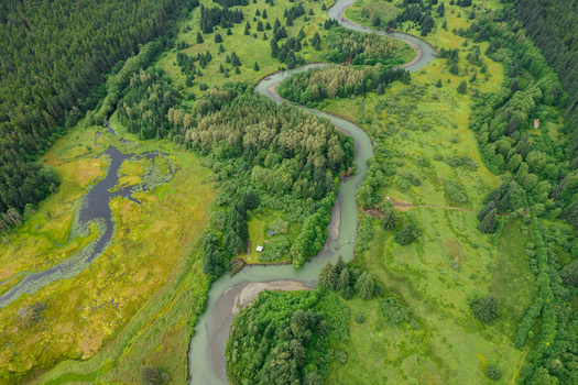 Aerial view of a winding river flowing through a lush green landscape with dense coniferous forests and wetlands in Juneau Alaska United States. Aerial view of a winding river flowing through a lush green landscape with dense coniferous forests and wetlands in Juneau Alaska United States.