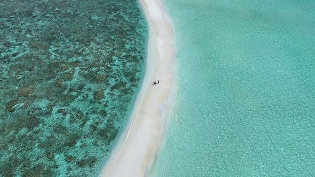 Aerial view of a tropical sandbank and coral reefs Maldives. Aerial view of a tropical sandbank and coral reefs Maldives.