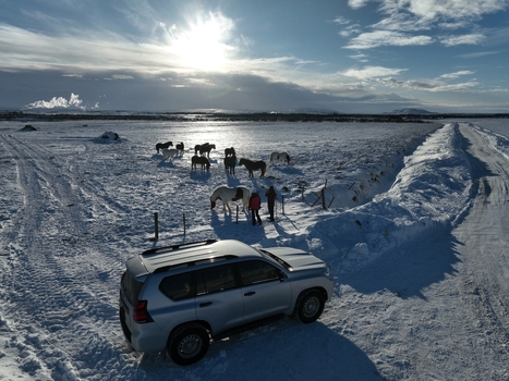 Aerial view of a silver SUV parked on a snowy road near a group of Icelandic horses with two people standing nearby in the winter landscape of Kirkjubaejarklaustur Skaftarhreppur Iceland.